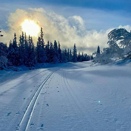 Semesterbostad Mountain By Trails At Aurdalsasen *